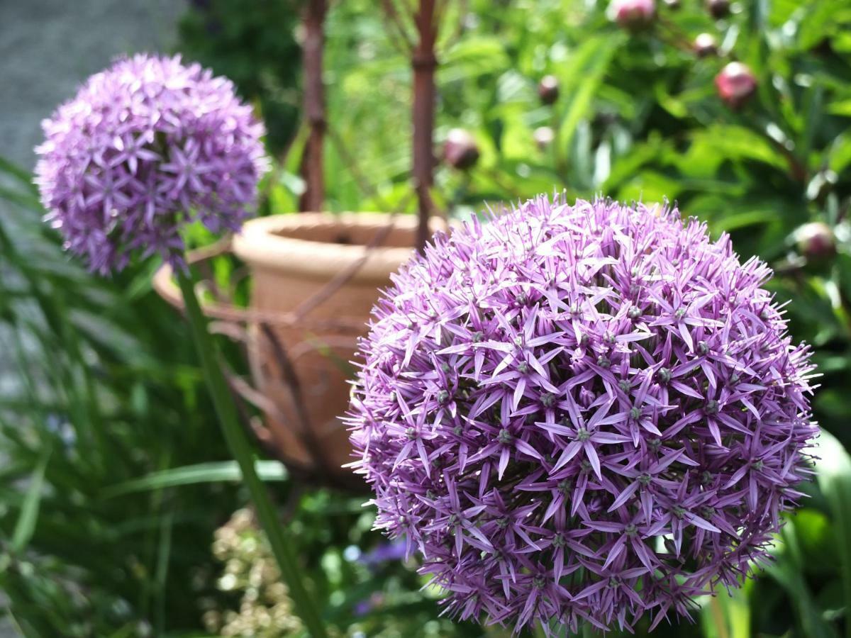Ferienhaus In Der Schlipfing Mit Garten Altmünster Buitenkant foto
