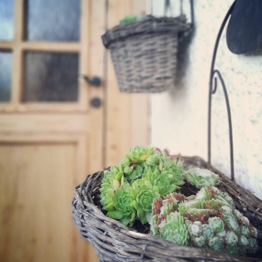 Ferienhaus In Der Schlipfing Mit Garten Altmünster Buitenkant foto
