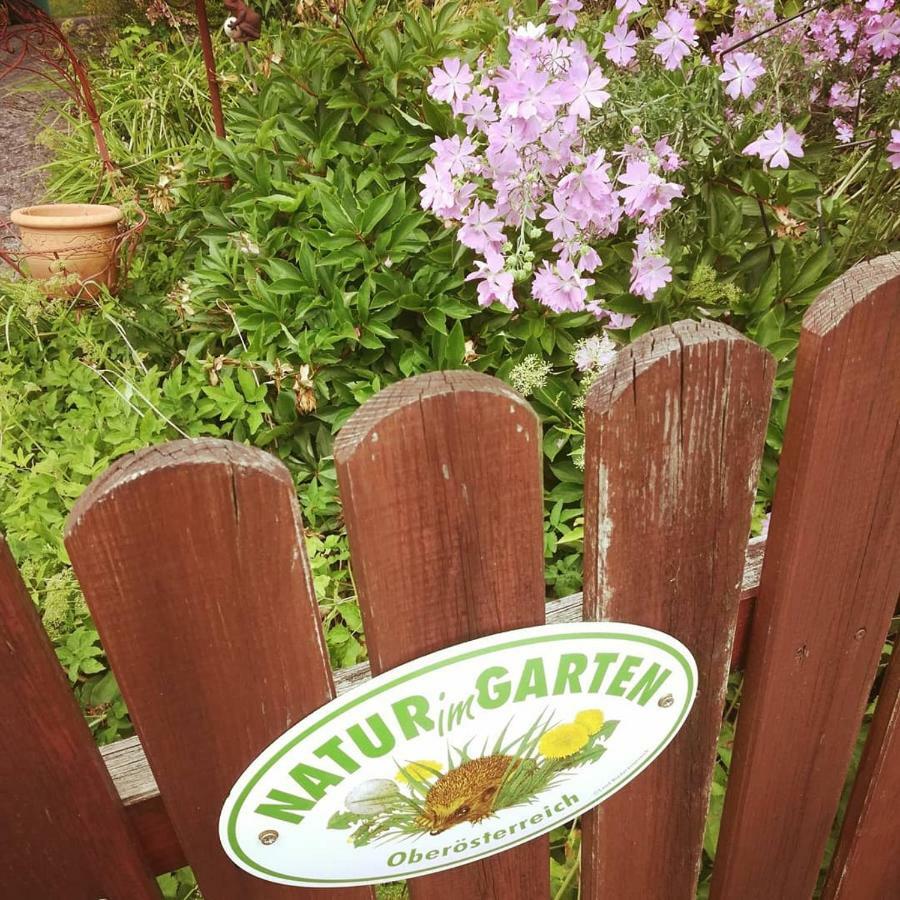 Ferienhaus In Der Schlipfing Mit Garten Altmünster Buitenkant foto